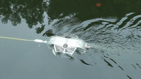 1592130268741804032_d41be9b67ce4b7a3a2ee8dd5eece8704