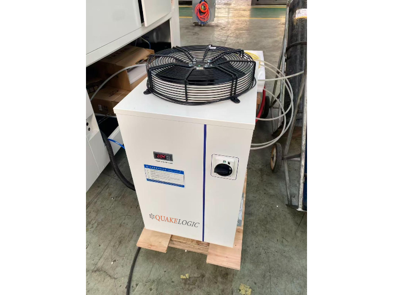 WhatsApp Image 2026-02-20 at 9.17.32 PM