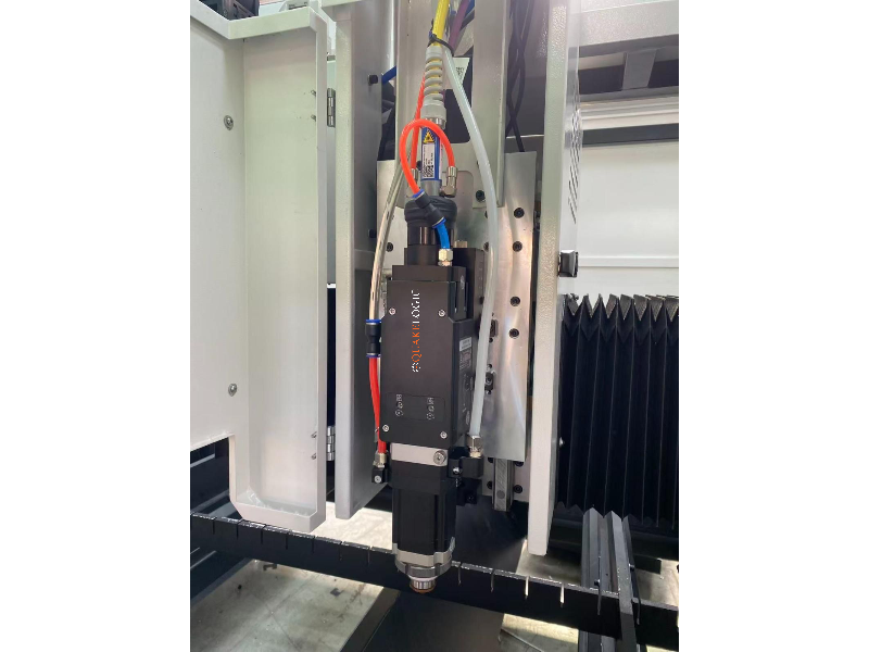 WhatsApp Image 2026-02-20 at 9.17.50 PM