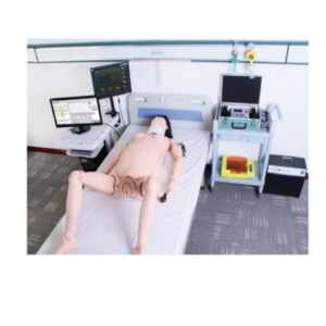 QL MC/F56 Obstetrics Skills Training System