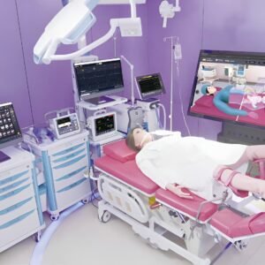 QL-MCE0937 High-end Birth Simulator