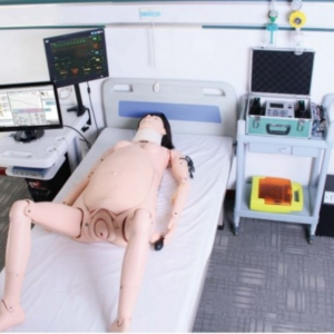 QL-MC/F56 Obstetrics Skills Training System
